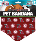 All Star Collegiate Dog Bandana