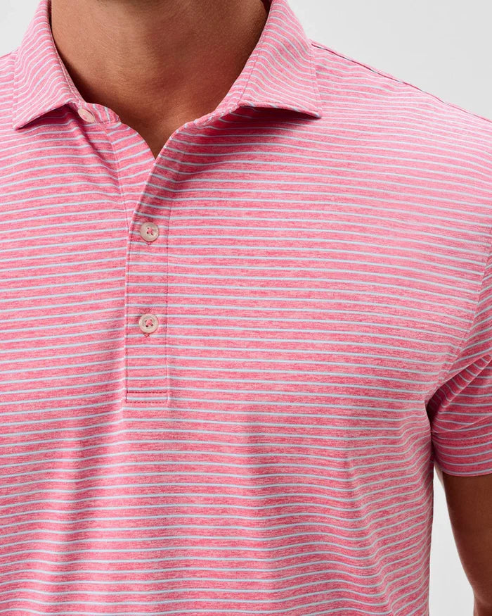 Johnnie O Michael Polo