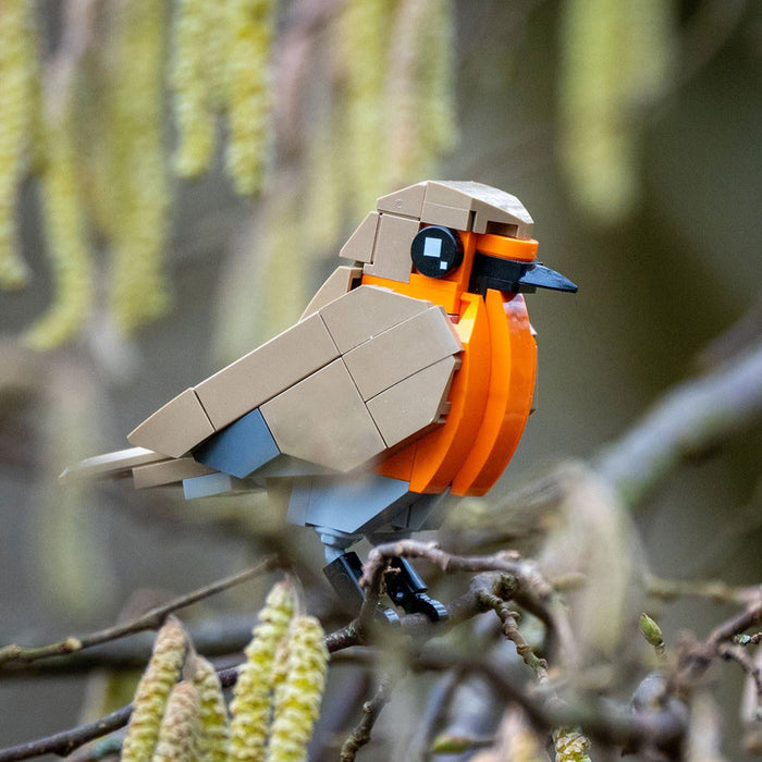 MOC-174485 Robin Bird Building Blocks-LesDiy-Building Blocks-