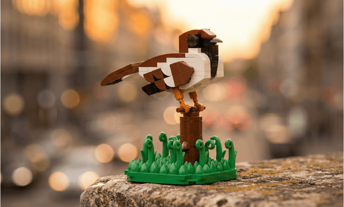 MOC-190893 Italian Sparrow Building Blocks-LesDiy-MOC-