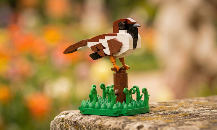 MOC-190893 Italian Sparrow Building Blocks-LesDiy-MOC-