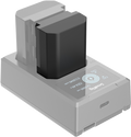fn:122197:01