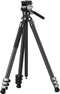 fn:138355:01