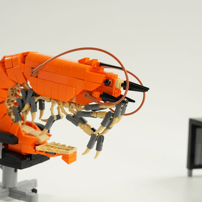 Working Shrimp Man Plus Building Blocks - LesDiy -